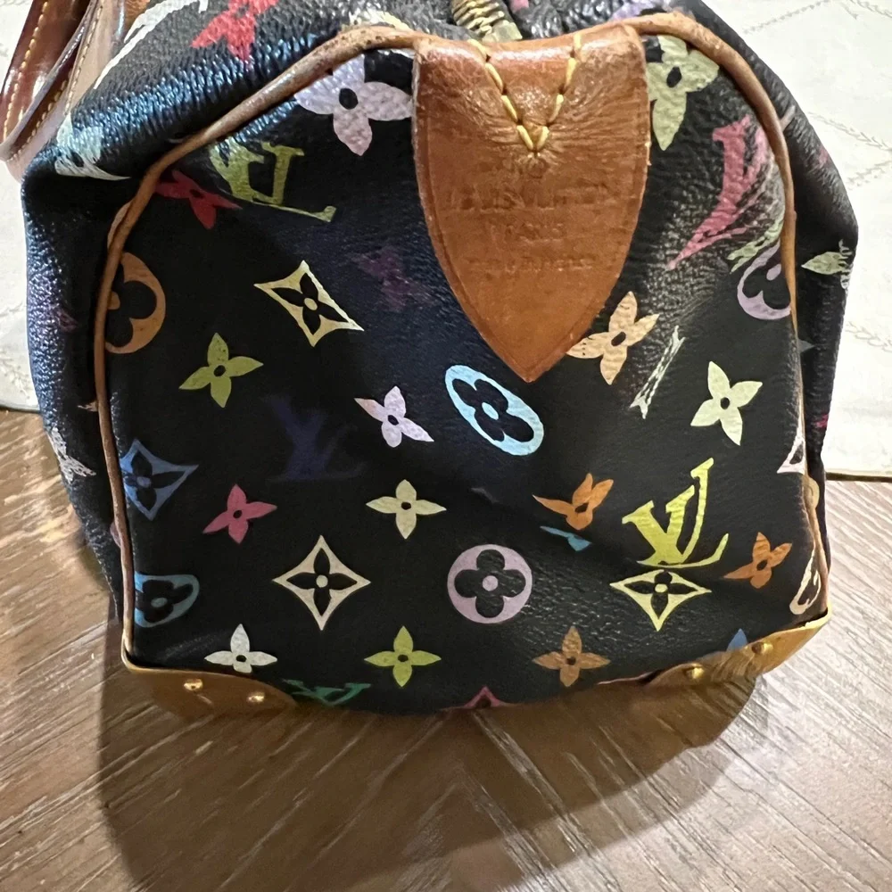 Louis Vuitton Multicolor Speedy Takashi Murakami - Picture 5 of 12